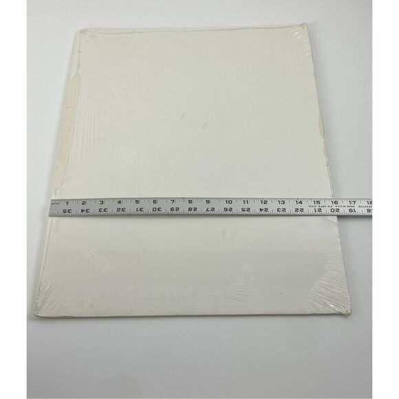 Vintage 90s Misty Morning Cardinals Signed Jeff Renner Print Limited Edition - Picture 6 of 6